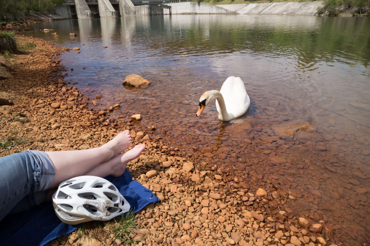 Drauradweg_Ferlacher-Stausee_Foto-Anita-Arneitz-26